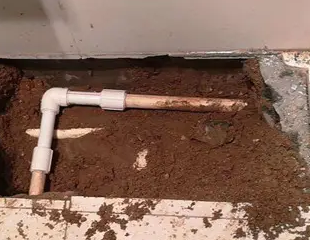 滴道测漏水哪家好