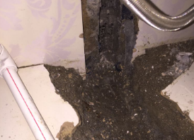 滴道卫生间测漏水哪家好